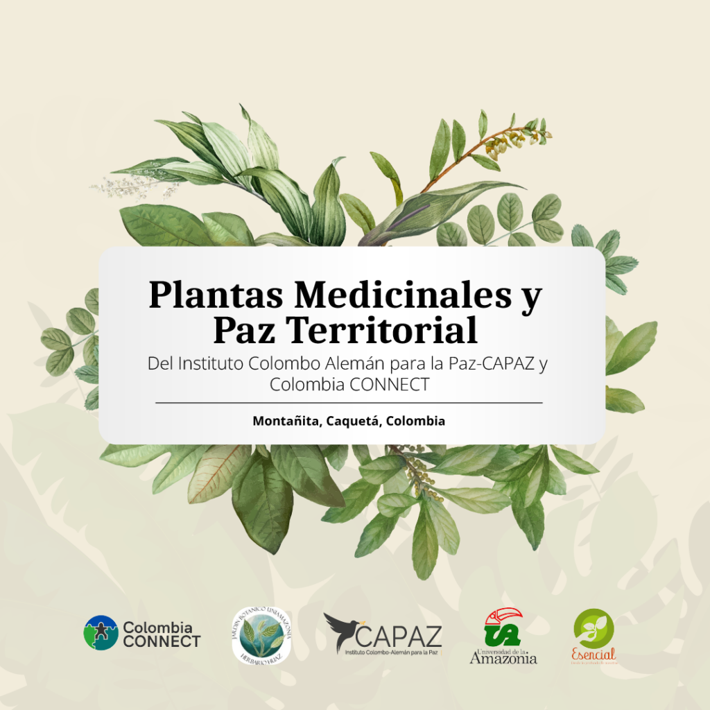 información sobre plantas medicinales en caquetá, instituto CAPAz y UniAmazonía