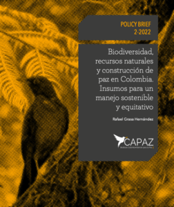 Policy Brief CAPAZ de Rafael Grasa sobre Paz Ambiental